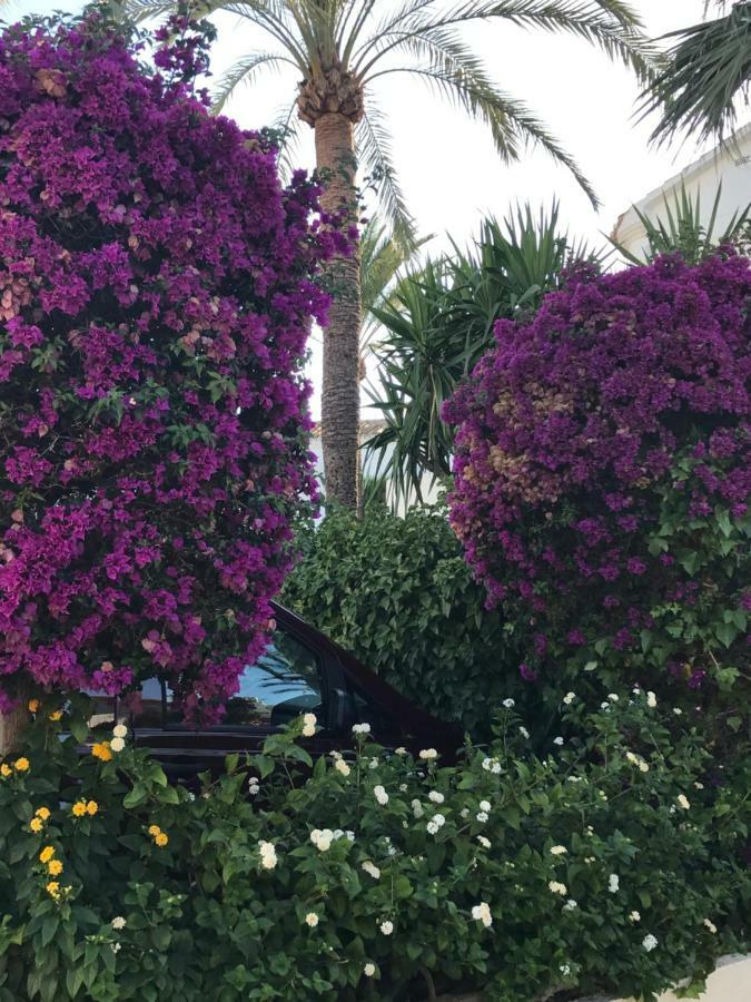 Oasis Paradise Denia Dış mekan fotoğraf