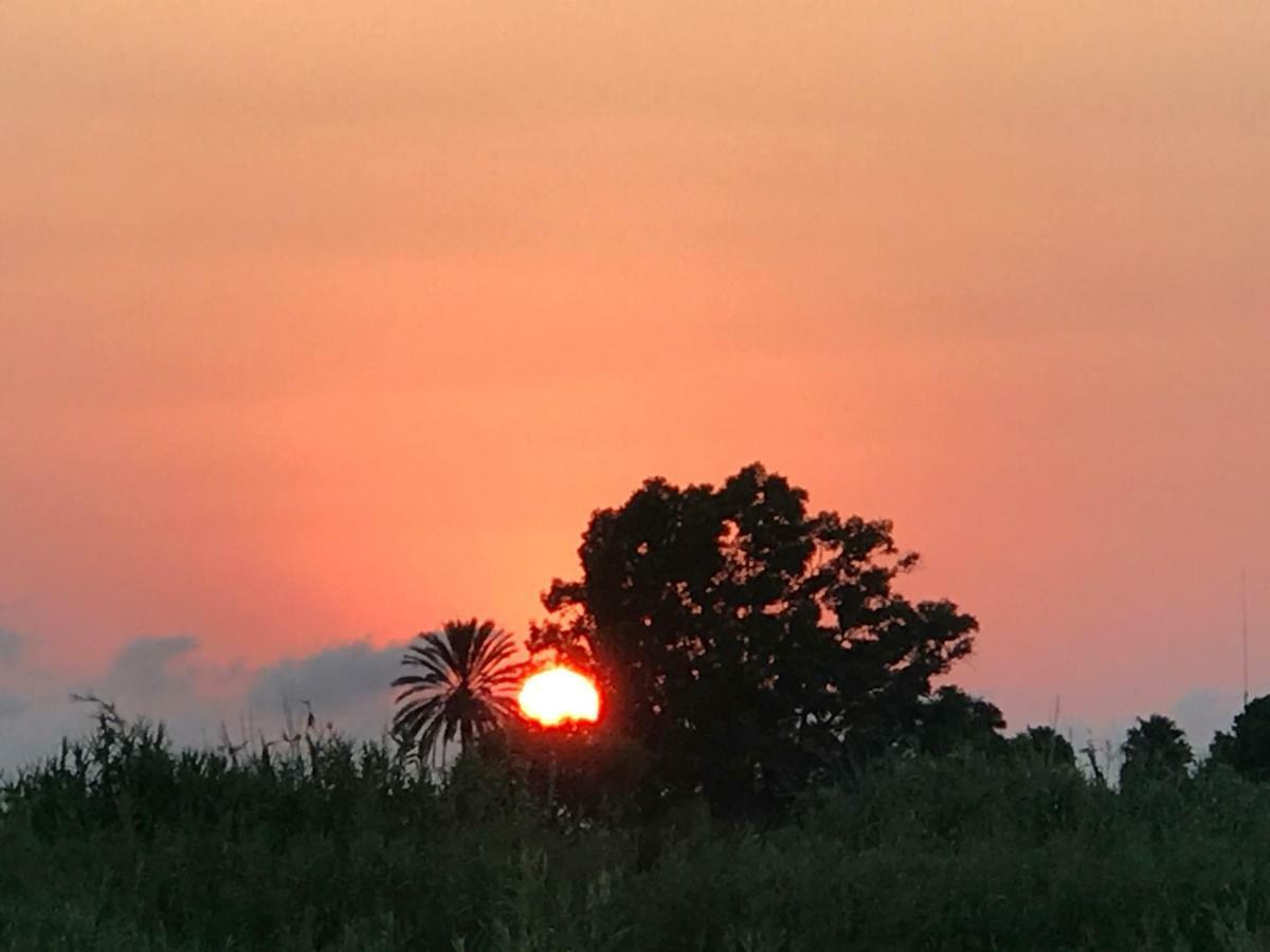 Oasis Paradise Denia Dış mekan fotoğraf